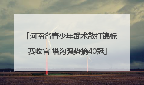 河南省青少年武术散打锦标赛收官 塔沟强势摘40冠