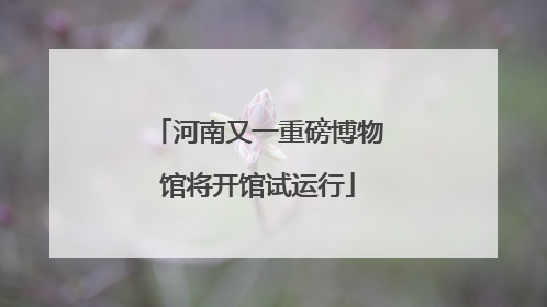 河南又一重磅博物馆将开馆试运行