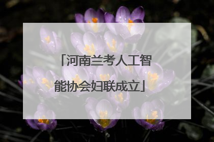 河南兰考人工智能协会妇联成立
