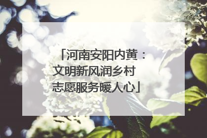 河南安阳内黄：文明新风润乡村 志愿服务暖人心