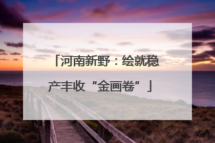 河南新野：绘就稳产丰收“金画卷”
