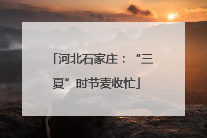 河北石家庄：“三夏”时节麦收忙