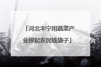河北丰宁用蔬菜产业撑起农民钱袋子