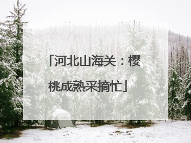 河北山海关：樱桃成熟采摘忙