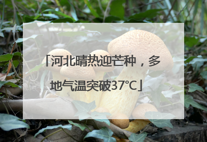 河北晴热迎芒种，多地气温突破37℃