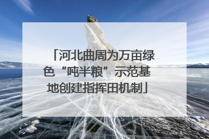 河北曲周为万亩绿色“吨半粮”示范基地创建指挥田机制