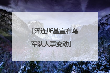 泽连斯基宣布乌军队人事变动