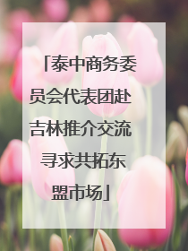 泰中商务委员会代表团赴吉林推介交流 寻求共拓东盟市场