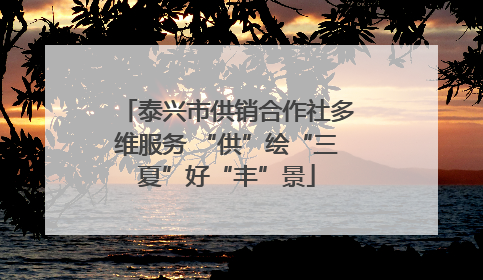 泰兴市供销合作社多维服务 “供”绘“三夏”好“丰”景