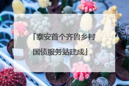 泰安首个齐鲁乡村国债服务站建成