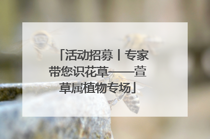 活动招募丨专家带您识花草——萱草属植物专场