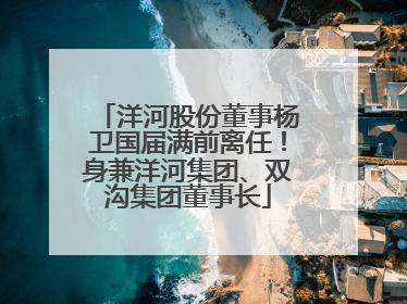 洋河股份董事杨卫国届满前离任！身兼洋河集团、双沟集团董事长
