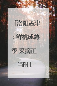 洛阳孟津：鲜桃成熟季 采摘正当时