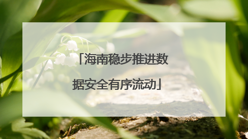 海南稳步推进数据安全有序流动