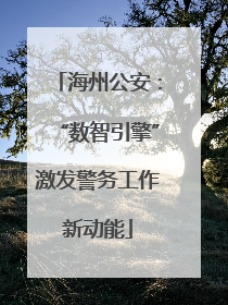 海州公安：“数智引擎”激发警务工作新动能
