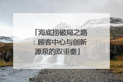 海底捞破局之路：顾客中心与创新源泉的双重奏