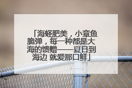 海蛏肥美，小章鱼脆弹，每一种都是大海的馈赠——夏日到海边 就爱那口鲜