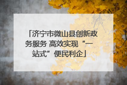 济宁市微山县创新政务服务 高效实现“一站式”便民利企