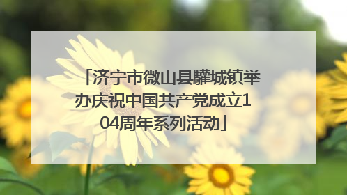 济宁市微山县驩城镇举办庆祝中国共产党成立104周年系列活动