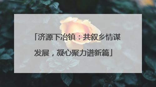 济源下冶镇：共叙乡情谋发展，凝心聚力谱新篇
