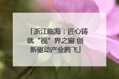 浙江临海：匠心铸就“视”界之窗 创新驱动产业腾飞