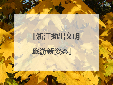 浙江拗出文明旅游新姿态