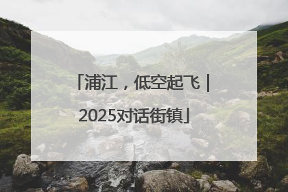 浦江，低空起飞｜2025对话街镇