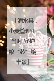 清水县：小麦管理正当时 守护粮“芯”绘丰景