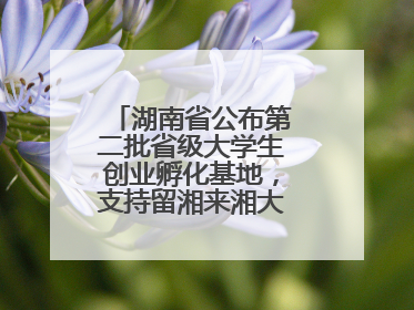 湖南省公布第二批省级大学生创业孵化基地，支持留湘来湘大学生创新创业