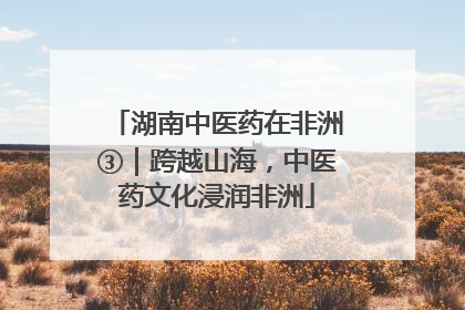 湖南中医药在非洲③｜跨越山海，中医药文化浸润非洲