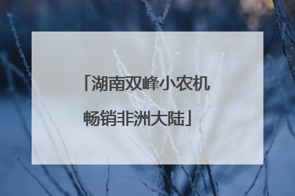 湖南双峰小农机畅销非洲大陆