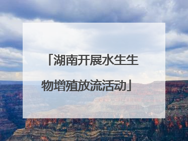 湖南开展水生生物增殖放流活动