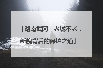 湖南武冈：老城不老，新貌背后的保护之道