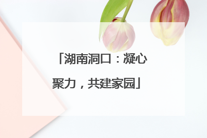 湖南洞口：凝心聚力，共建家园
