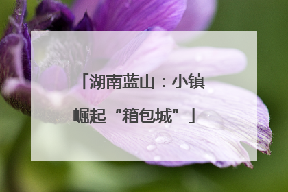 湖南蓝山：小镇崛起“箱包城”