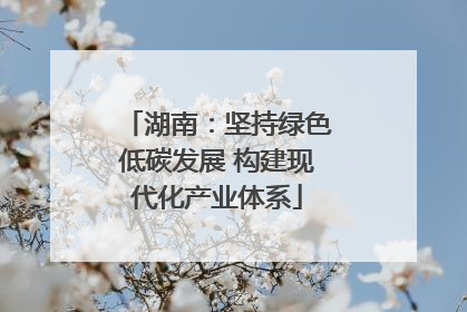 湖南：坚持绿色低碳发展 构建现代化产业体系