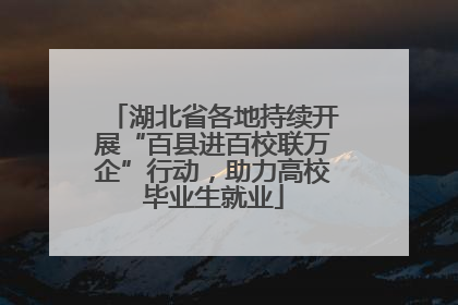 湖北省各地持续开展“百县进百校联万企”行动，助力高校毕业生就业