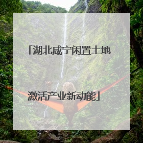 湖北咸宁闲置土地激活产业新动能