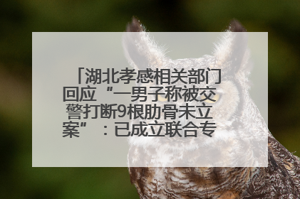 湖北孝感相关部门回应“一男子称被交警打断9根肋骨未立案”：已成立联合专班开展工作