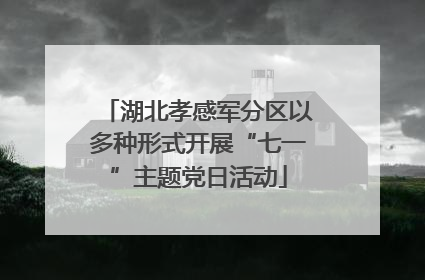 湖北孝感军分区以多种形式开展“七一”主题党日活动