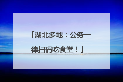 湖北多地：公务一律扫码吃食堂！