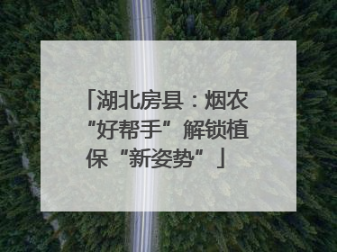 湖北房县：烟农“好帮手”解锁植保“新姿势”