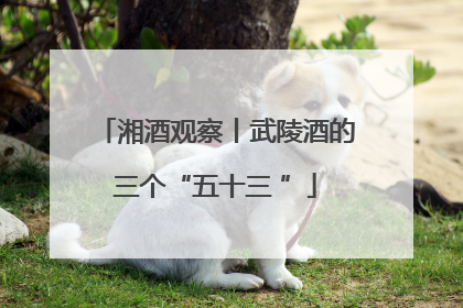 湘酒观察丨武陵酒的三个“五十三 ”
