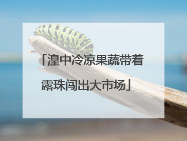 湟中冷凉果蔬带着露珠闯出大市场