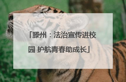 滕州：法治宣传进校园 护航青春助成长
