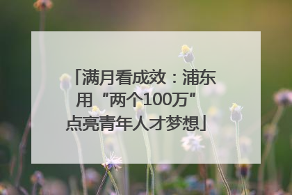满月看成效：浦东用“两个100万”点亮青年人才梦想