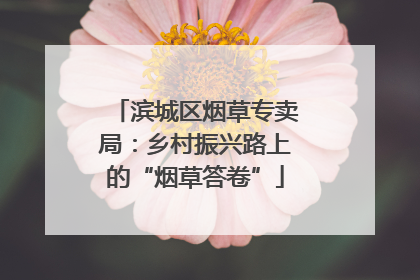 滨城区烟草专卖局：乡村振兴路上的“烟草答卷”