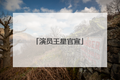 演员王星官宣