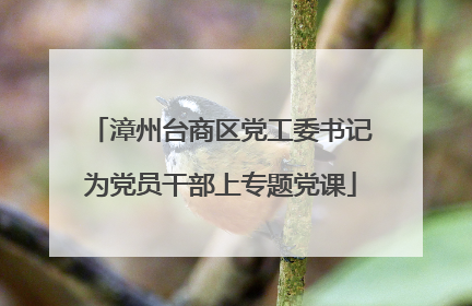 漳州台商区党工委书记为党员干部上专题党课