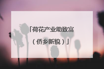荷花产业助致富（侨乡新貌）